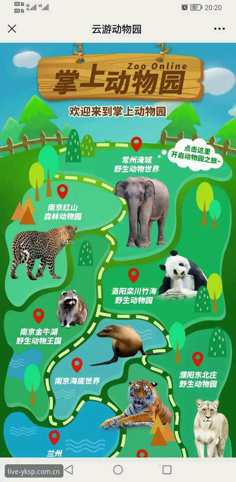 云开体育正版赛事观赛实用指南：老用户的独家经验分享